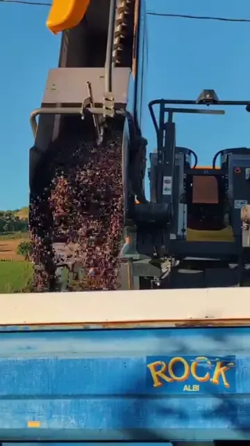 recolte prune