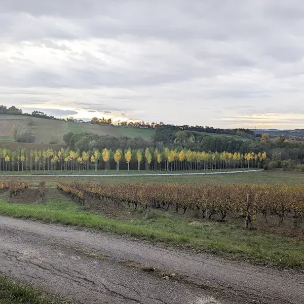 ferme